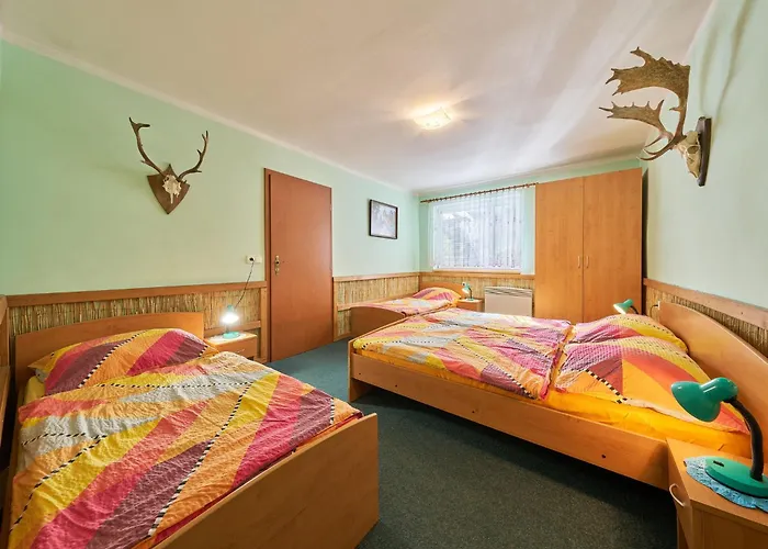 U Hronova-3 By Interhome Appartement Chlivce